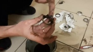 Смазываем подшипники в рулевой втулке БМХ (BMX)