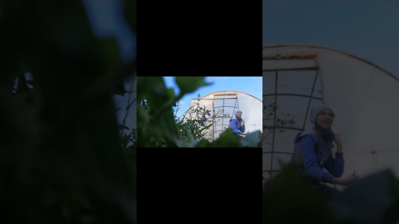#люблювас #подпишисьзайка #говреки? #love очень красивое видео смотреть онлайн