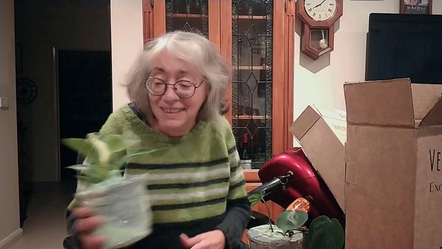 Houseplant Mail Unboxing | Verdant Dwellings смотреть онлайн