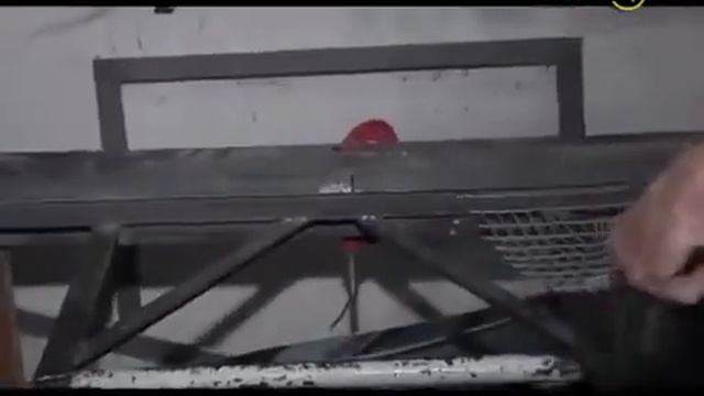 Интервью с перепеловодом Б. Коваленко, Кропоткин, Кубань смотреть онлайн