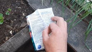Калийная подкормка для томатов во время завязывания плодов.