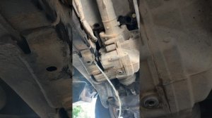 The Easiest Way to Change Amarok Front Diff Oil - DIY VW AMAROK Front Differential Oil +Special Too