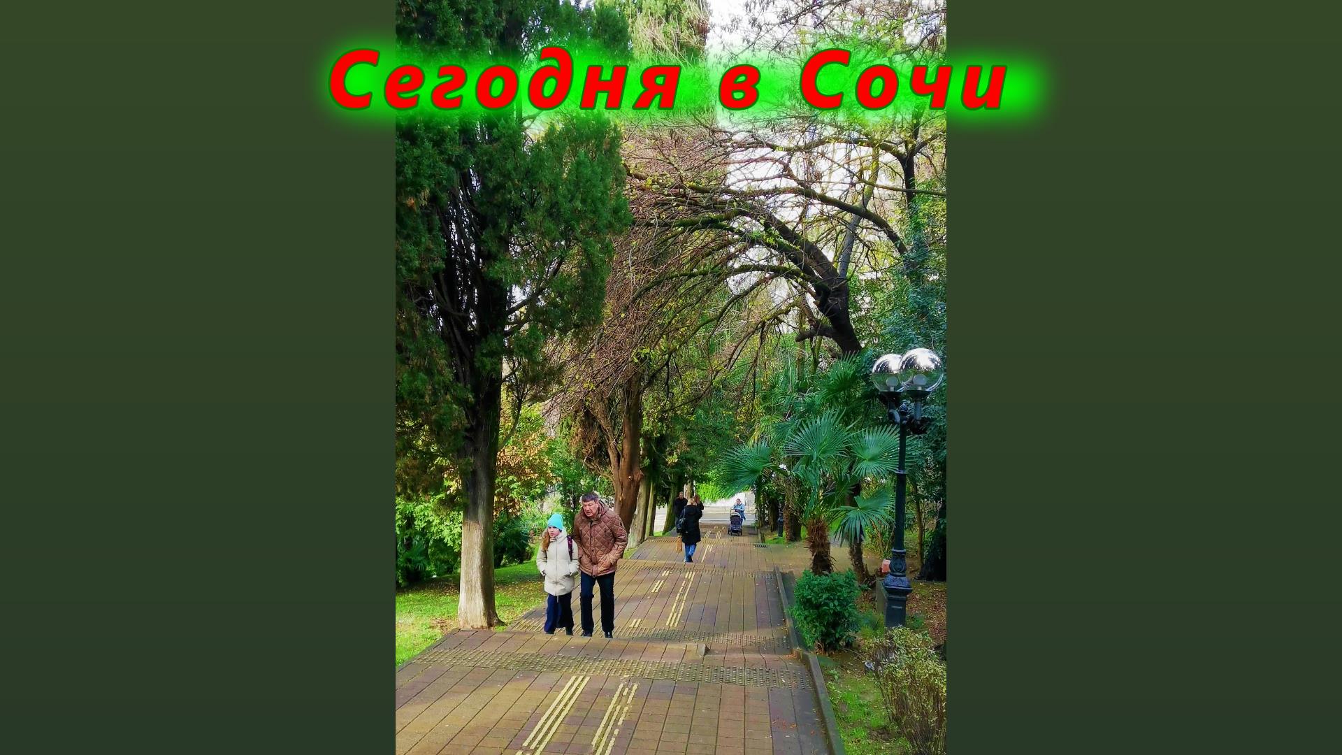 Пасмурный Сочи сегодня смотреть онлайн