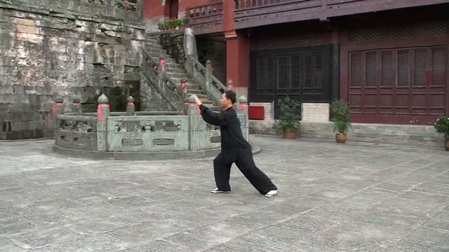 Мастер Ван Линь 24 формы тайцзицюань Стиль Ян смотреть онлайн