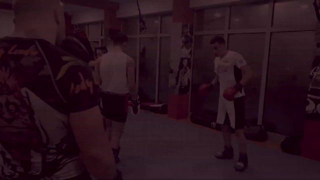 Vladislav Kanchev - Tiger Sport MMA смотреть онлайн