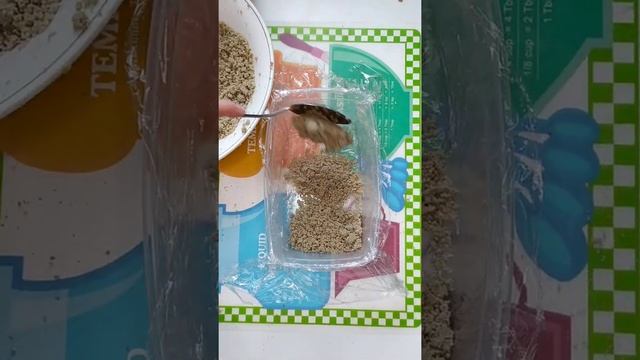 Искусство Гастрономии