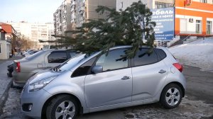 ПРАВОруля. Как правильно перевозить груз на крыше автомобиля..mp4