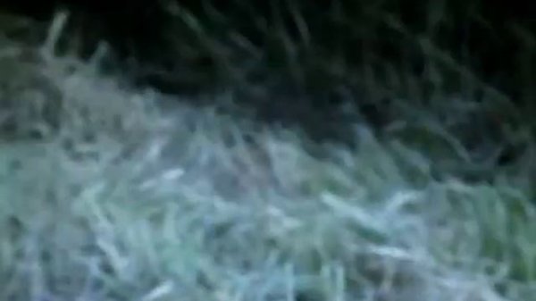 Emergence of latest technologies in Nepali Agriculture