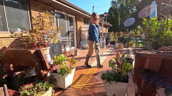 Fall Containers & Planting Allium Karataviense & Apricot Whirl Daffodils ???// Suburban Oasis