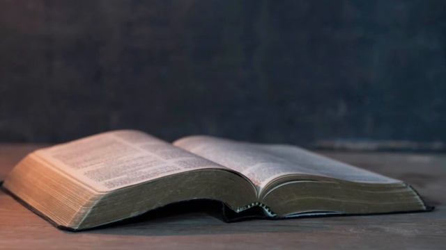 1 июня / Лови мяч. смотреть онлайн