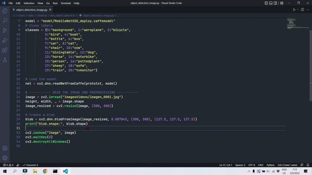 ? Detección de 20 objetos con modelo pre-entrenado usando DNN de OpenCV | Python смотреть онлайн