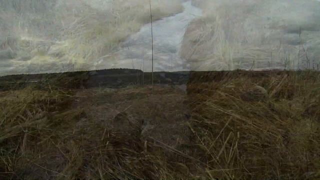 Путь дикого гуся от поля до духовки смотреть онлайн