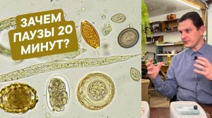 Паузы 20 минут в Антипаразите, зачем они нужны? Можно ли лечиться без них? Катушки Мишина