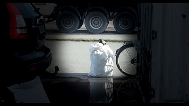 Любопытная ворона. смотреть онлайн