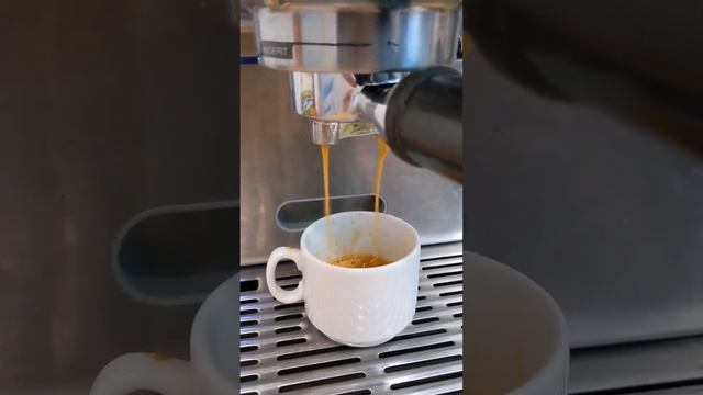 BORK C800, демонстрация работоспособности