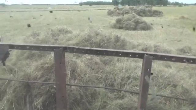 Сенокос 2019. Продолжаем толкать сено. 4 часть. смотреть онлайн