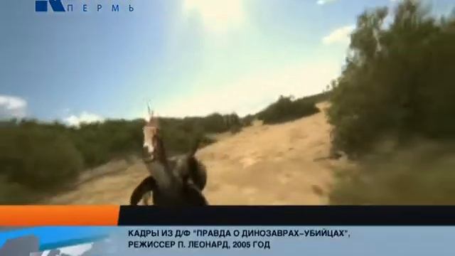 Новые экспонаты в музее смотреть онлайн