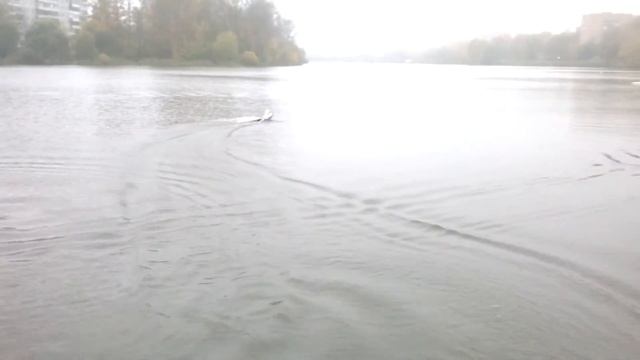 катер на Серебрянке смотреть онлайн