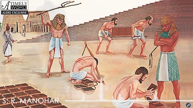 TW29| Making the Right Choice | S R Manohar смотреть онлайн