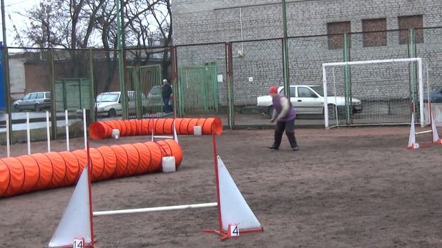 Д-Open 2/3 Small - Эмман Любовь и цвергпинчер Соня смотреть онлайн