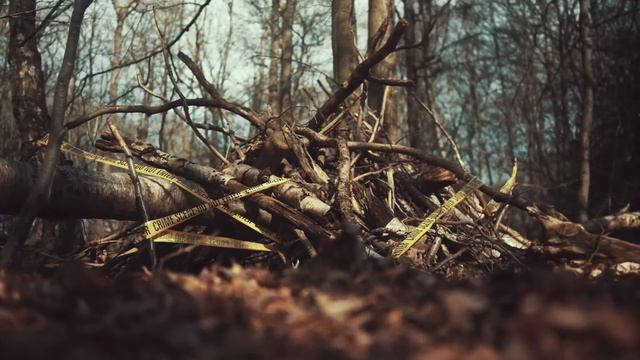 The Delphi Murders - The Search for Richard Allen смотреть онлайн