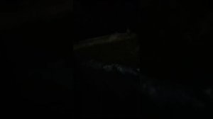 Бензиновый снегоуборщик DDE честный отзыв