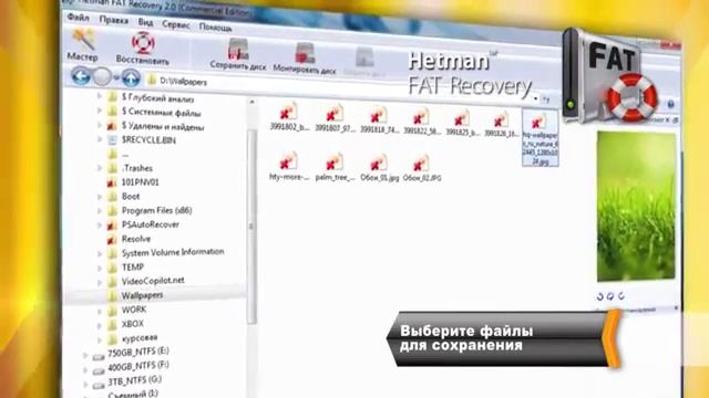 Восстановление карт памяти данных SD, Micro SD, Compact Flash 5 смотреть онлайн