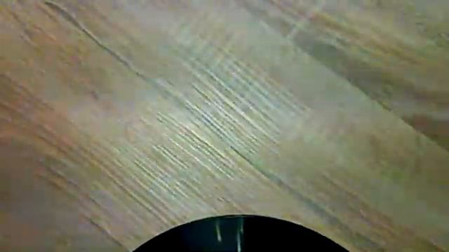 новая коллекция земноводные и пресмыкающиеся смотреть онлайн