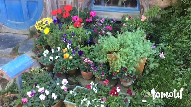 30 секунд в Хоббитоне, Новая Зеландия // 30 sec in Hobbiton смотреть онлайн