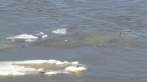 Половодье, ледоход