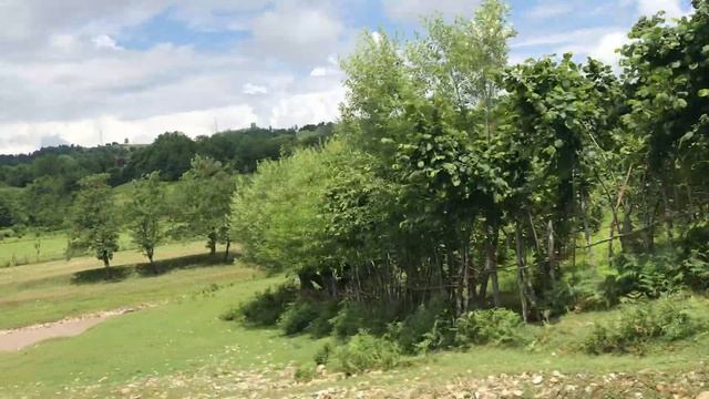 Настоящая, сельская, не туристическая Грузия. Почему пустеют огромные грузинские дома смотреть онлайн