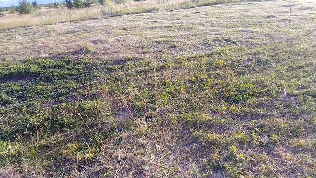 016 Стройка дома своими руками. Разметка участка под будущий дом смотреть онлайн