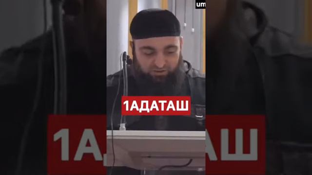 Умар хехоев смотреть онлайн