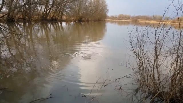 Открытие сезона ловли щуки 11.04.2017 смотреть онлайн