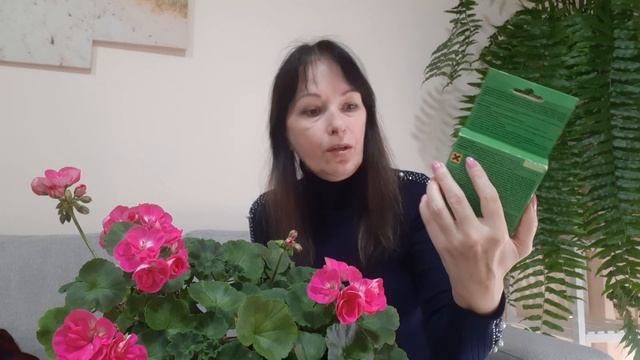 Вредители на комнатных растениях и борьба с ними смотреть онлайн