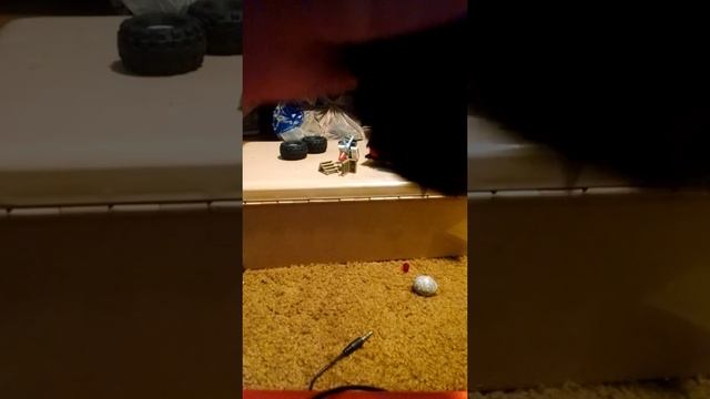 Lego RC  All Terrain Dune Buddy