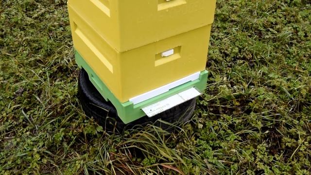 Что случилось с ППУ 1 месяц спустя - ультрафиолет, влажность, прочность смотреть онлайн