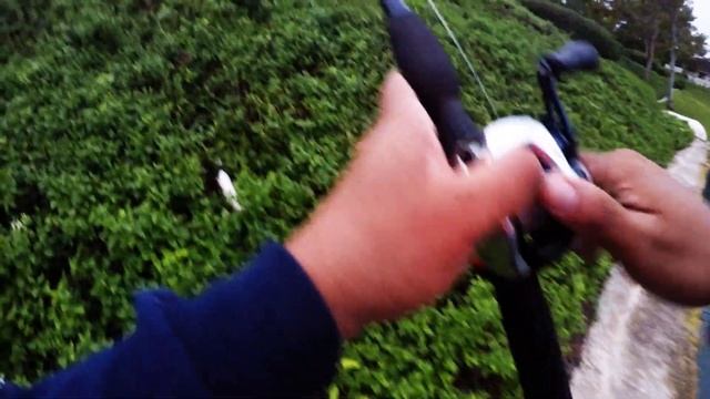 Black Dog Bait Co. G2 Shellcracker Wake And Crank Bass Fishing Cast2Catch смотреть онлайн
