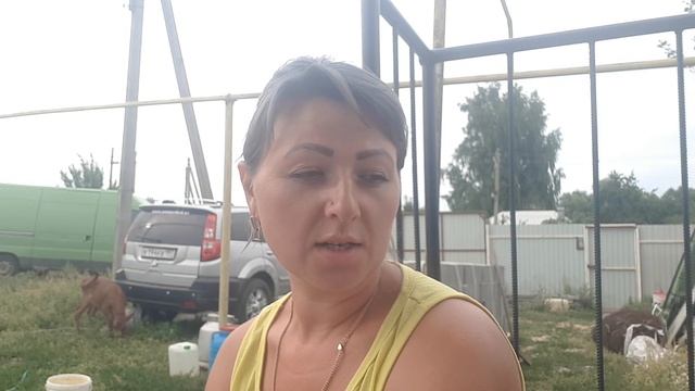 #Продаю бычка Джерси# смотреть онлайн