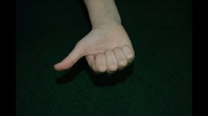 Упражнения для развития мелкой моторики рук