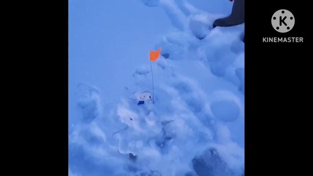 Последняя рыбалка -2022. смотреть онлайн