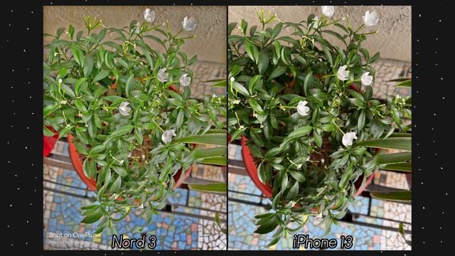 OnePlus Nord 3 vs iPhone 13 Camera Comparison | OnePlus Nord 3 Camera Test смотреть онлайн