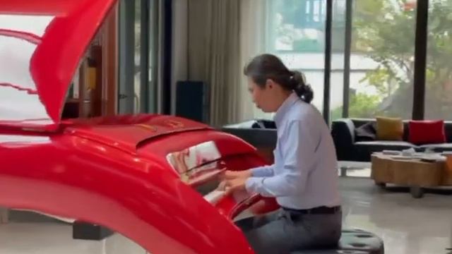 Schimmel Pegasus Grand Piano смотреть онлайн