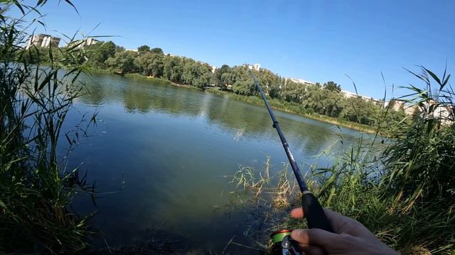 Рибалка на Троєщині в ставку. Липень спекотний але рибку знайшов 2022 смотреть онлайн