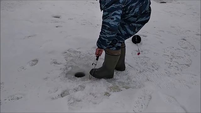 27.12.18 КМ( Савельево) , ОБЗОР ПОИМОК ФОРЕЛИ смотреть онлайн