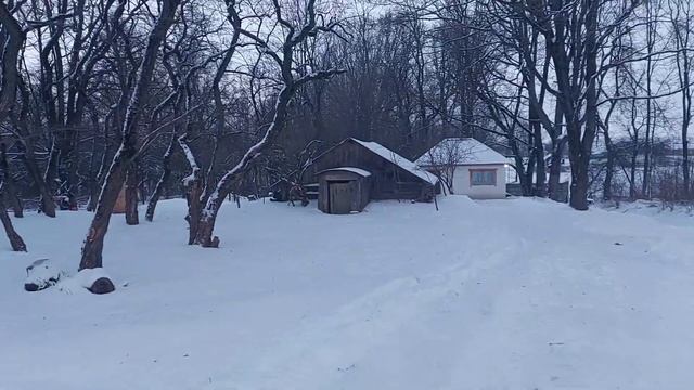 Колхоз на западе построил агроусадьбу, там, где была школа... смотреть онлайн