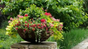 24 интересные идеи для клумбы или лучшие идеи клумб для дачи