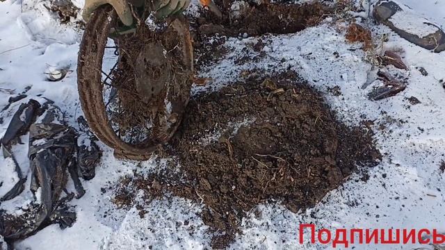 МЕТАЛОКОП 2023! КОП ПО ЛЕСУ НЕ БИТАЯ СВАЛКА! смотреть онлайн