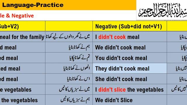 Engish Language Practice Past Simple and Negative Tense смотреть онлайн