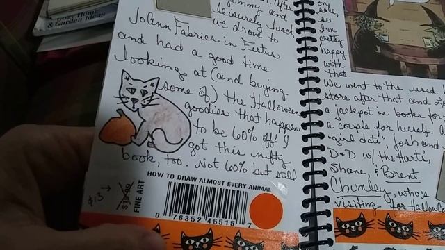 #14 From Dusk till Dawn journal flip pt. 1 смотреть онлайн